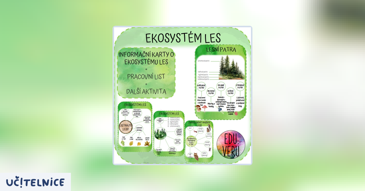 Ekosystém les | Učitelnice