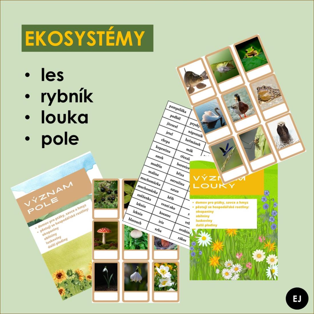 Ekosystemy Sprawdzian Odpowiedzi Pdf