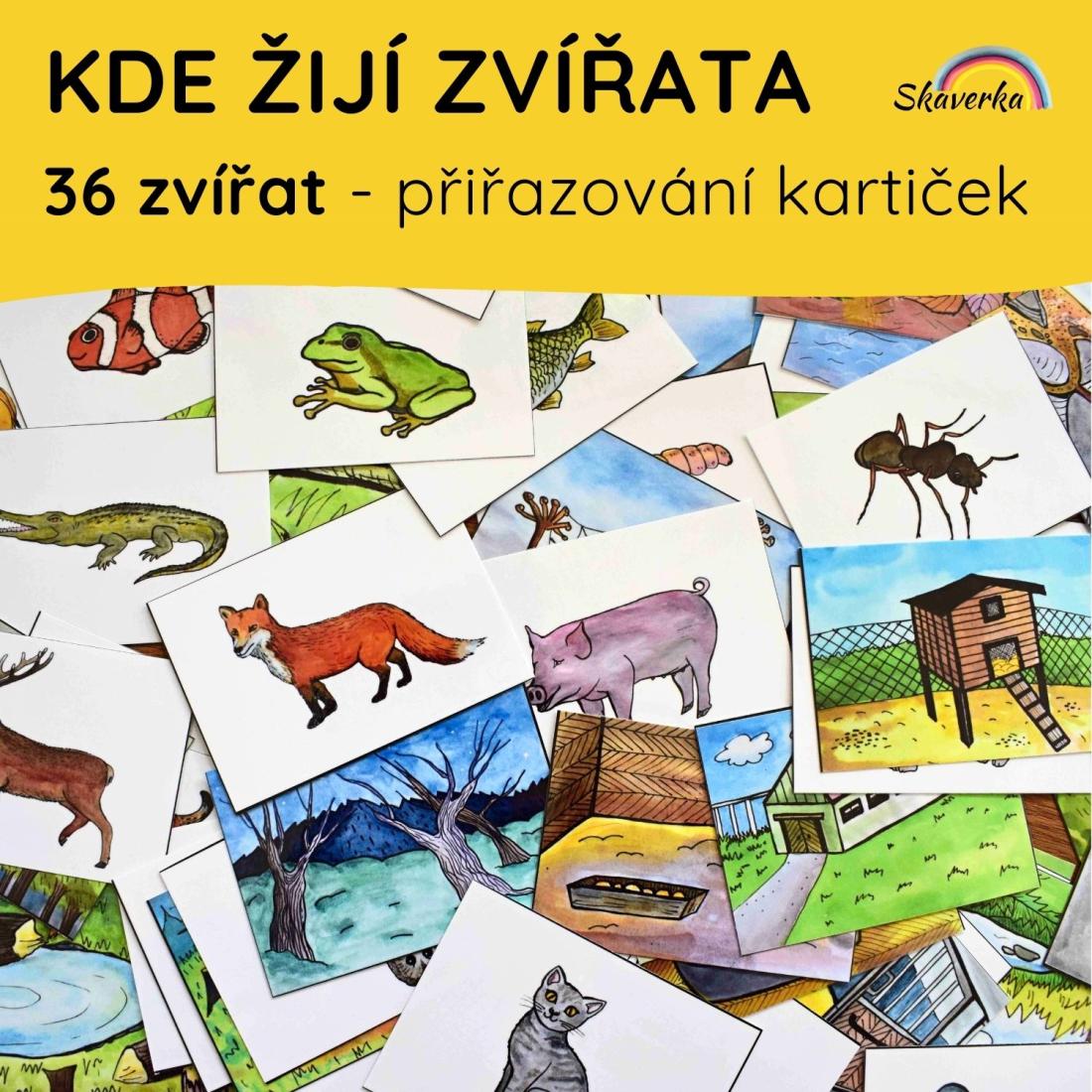 KDE IJ ZVATA - karty | Uitelnice